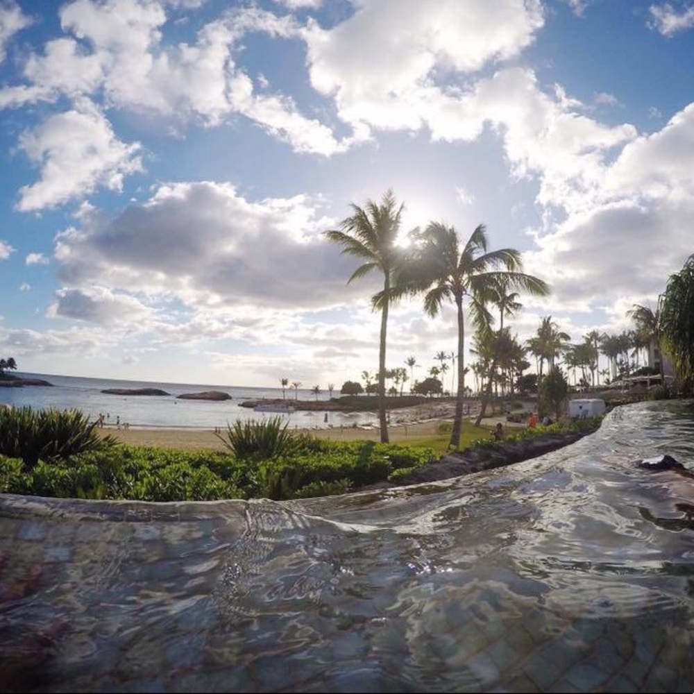 Meet your Posher, Nina